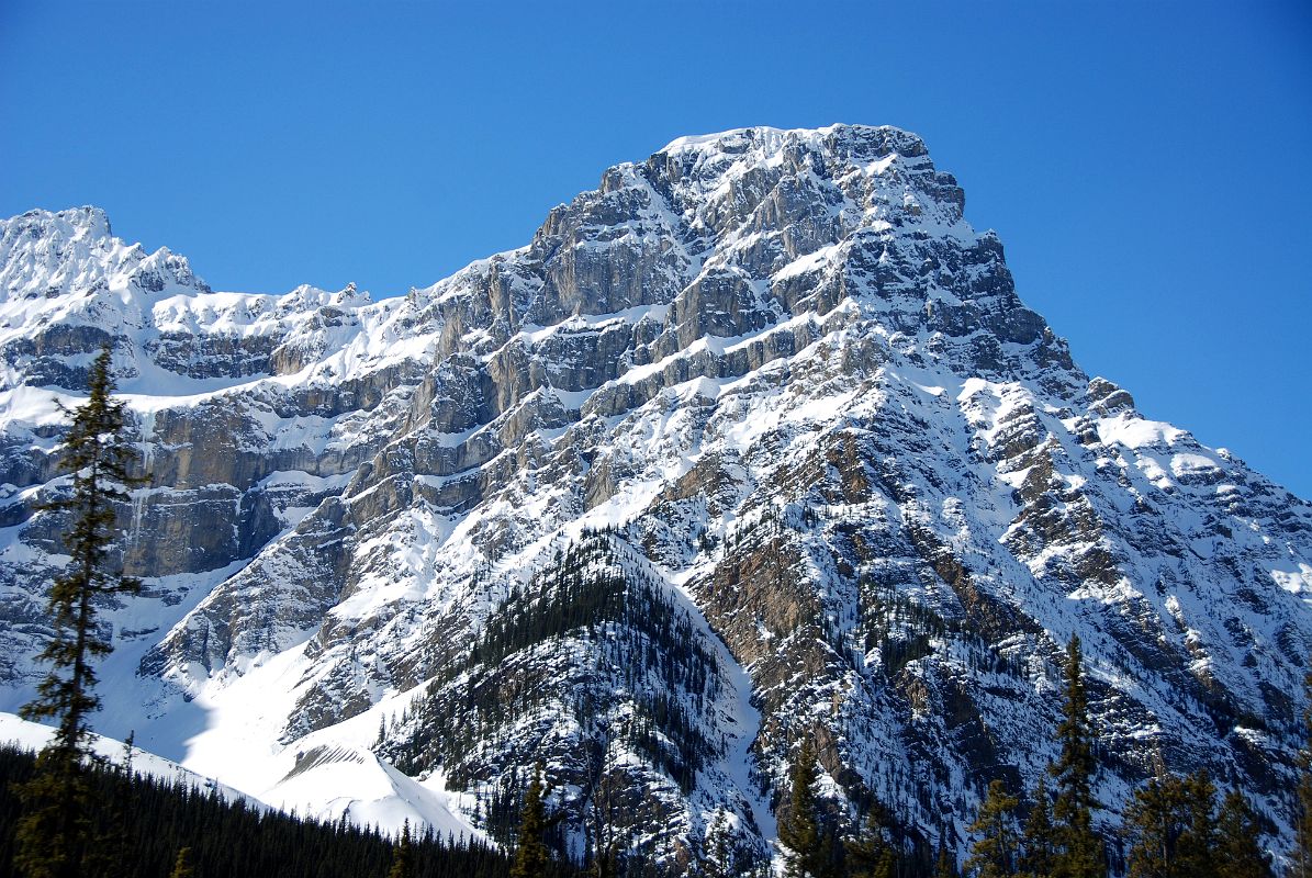 06 Mount Patterson From Icefields Parkway